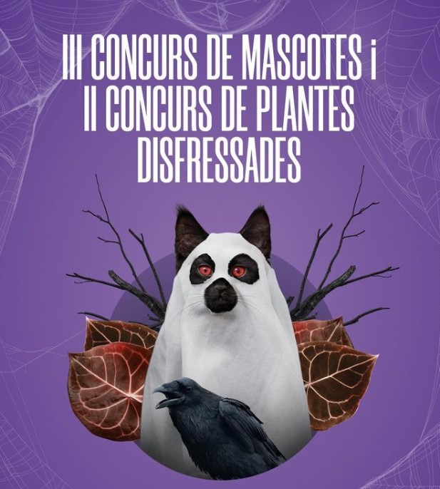 Campanya: CARNAVAL 2023 - PREMIS CONCURS DE MASCOTES I PLANTES DISFRESSADES